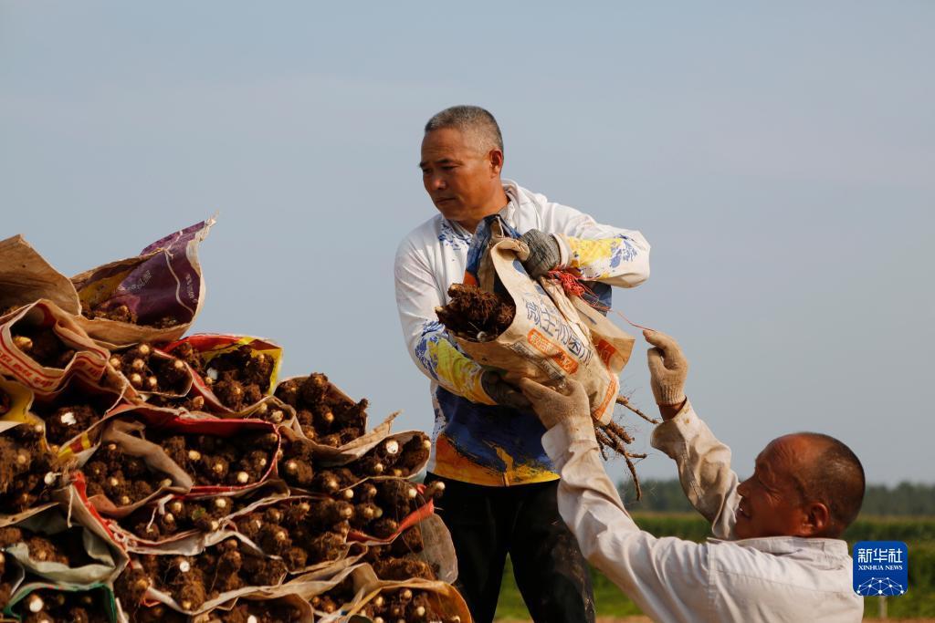 小笨虎娱乐